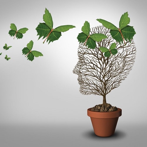 emociones de trading
